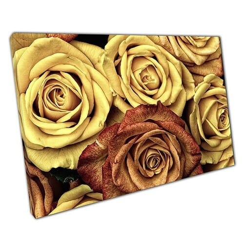Print on Canvas yellow brown roses Ready to Hang canvas Wall Art Print Mounted Canvas print