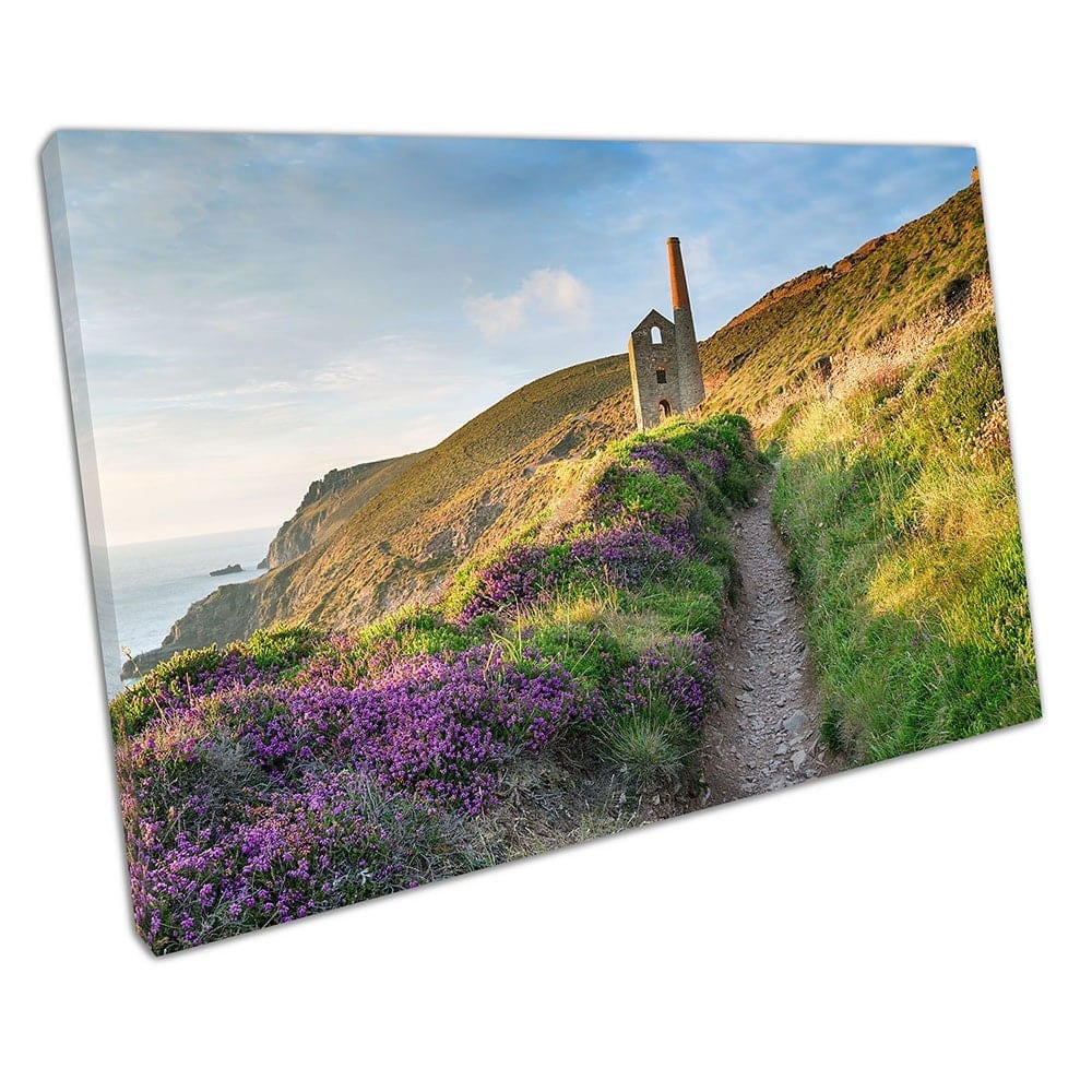 Summer on the South West Coast Path at Wheal Coates Ready to Hang Wall Art Print Mounted Canvas print