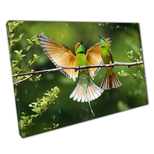 Print on Canvas Bee-Eater Birds in the Wild Ready to Hang Wall Art Print Mounted Canvas print
