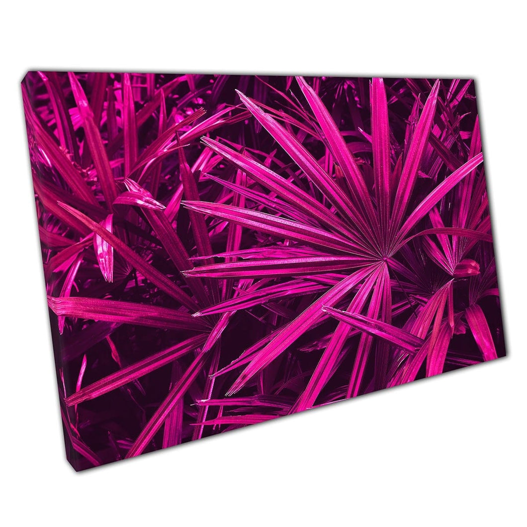 Tropical Exotic Purple Magenta Pointed Leaves Unusual Vibrant Nature Wall Art Print On Canvas Mounted Canvas print