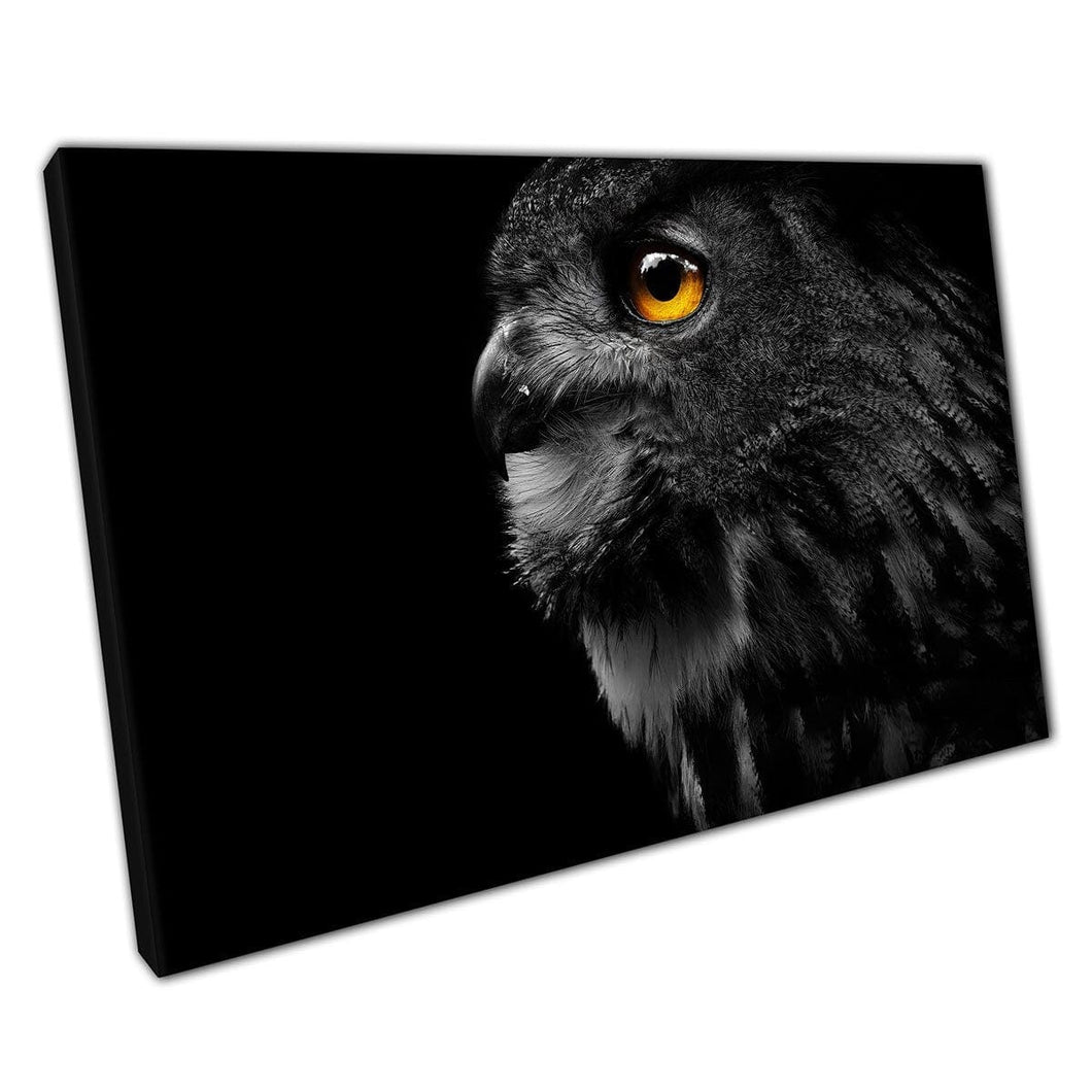 Stunning Great Spotted Owl With Amber Eyes Bird Of Prey Wildlife Animal Photography Wall Art Print On Canvas Mounted Canvas print
