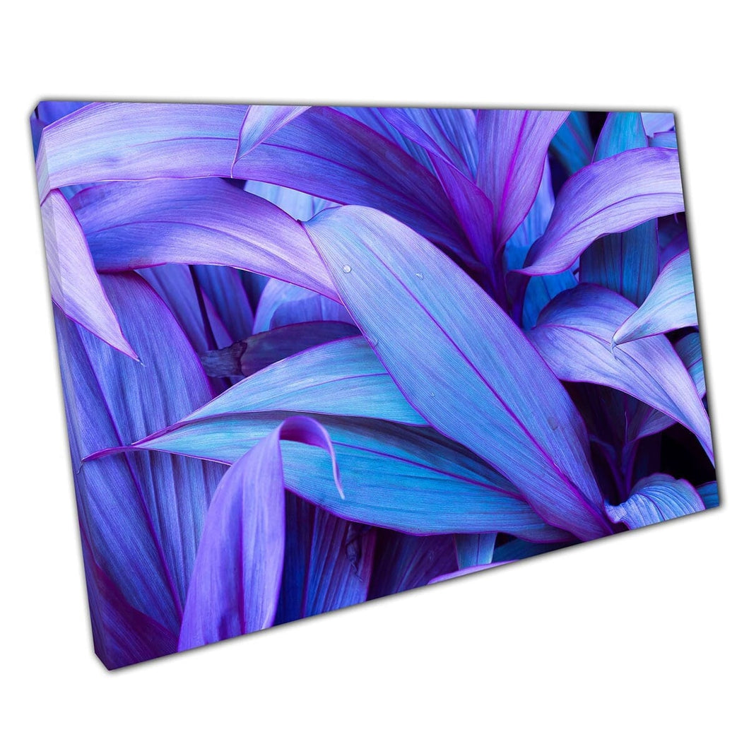 Different Shades Of Violet Purple And Blue Tropical Exotic Jungle Leaves Foliage Wall Art Print On Canvas Mounted Canvas print