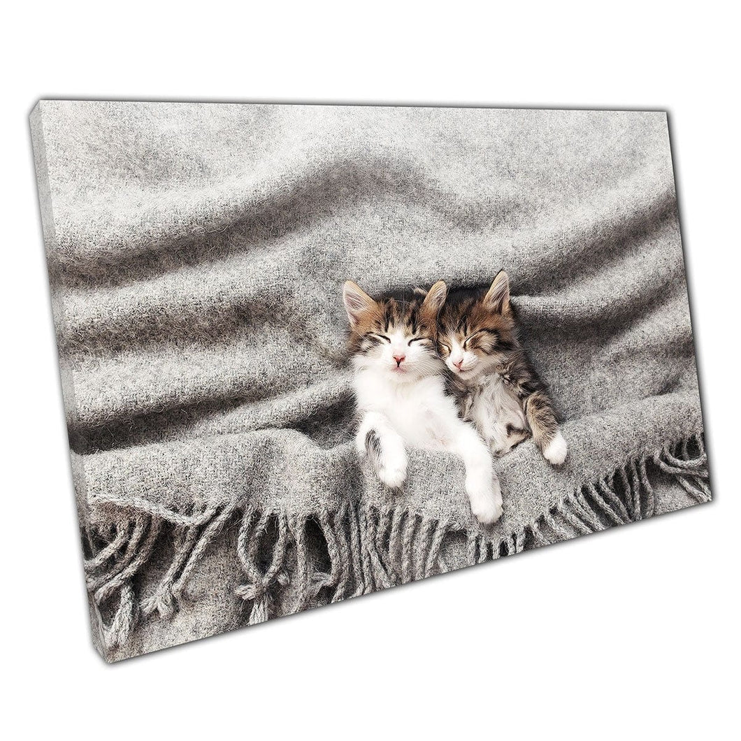 Two Cute Fluffy Kittens Snuggled Together Under A Cuddly Blanket Animal Photography Wall Art Print On Canvas Mounted Canvas print