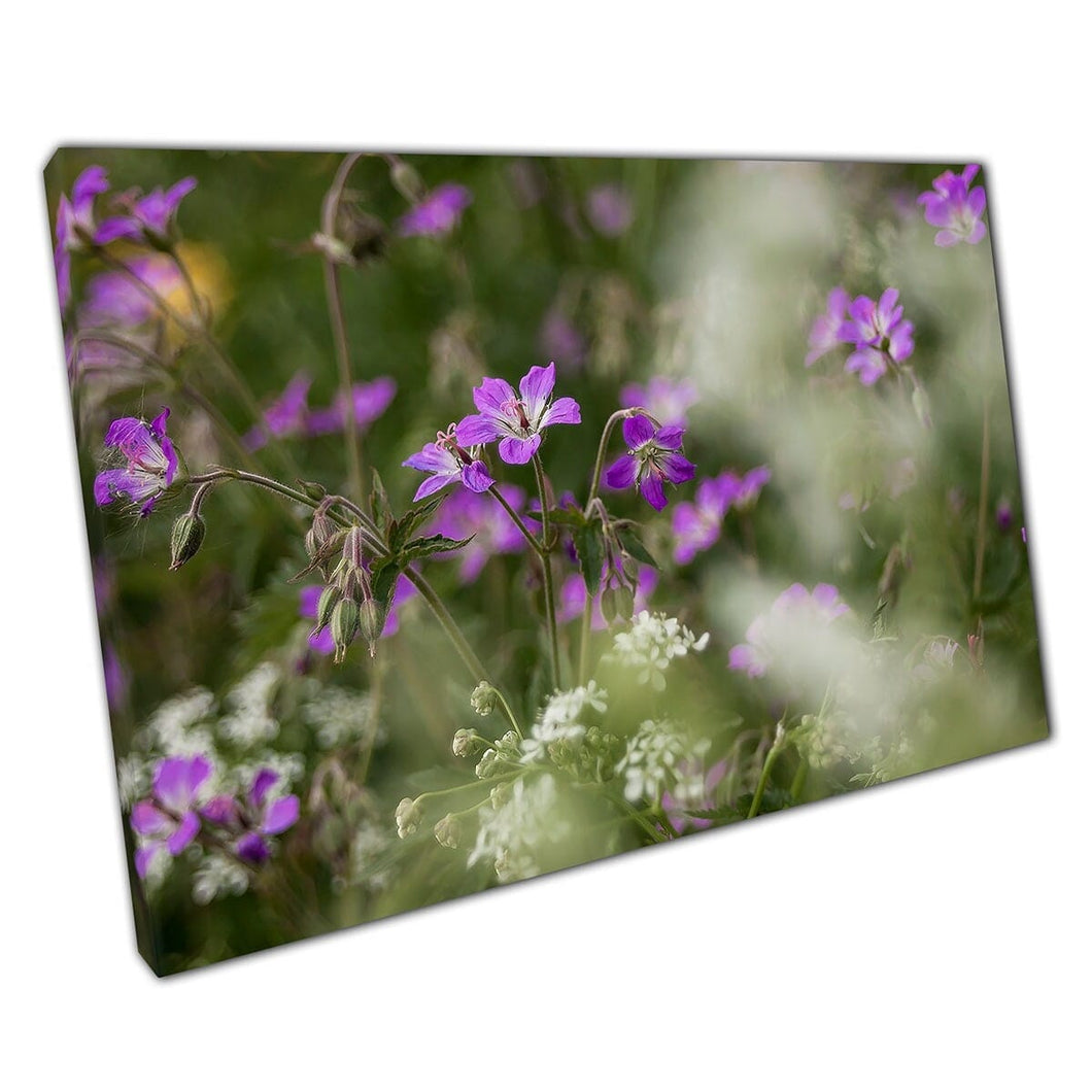 Summer Meadow Filled With Small Purple Midsummer Flowers Wall Art Print On Canvas Mounted Canvas print