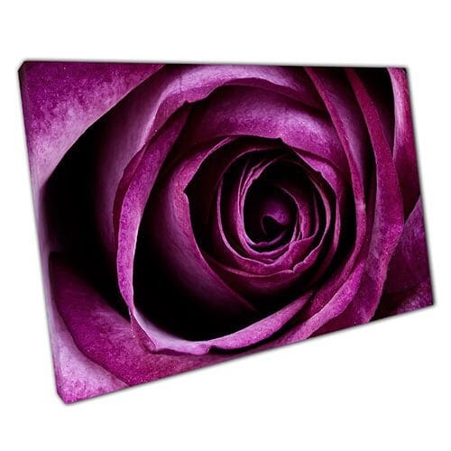 Print on Canvas Purple rose Ready to Hang canvas Wall Art Print Mounted Canvas print