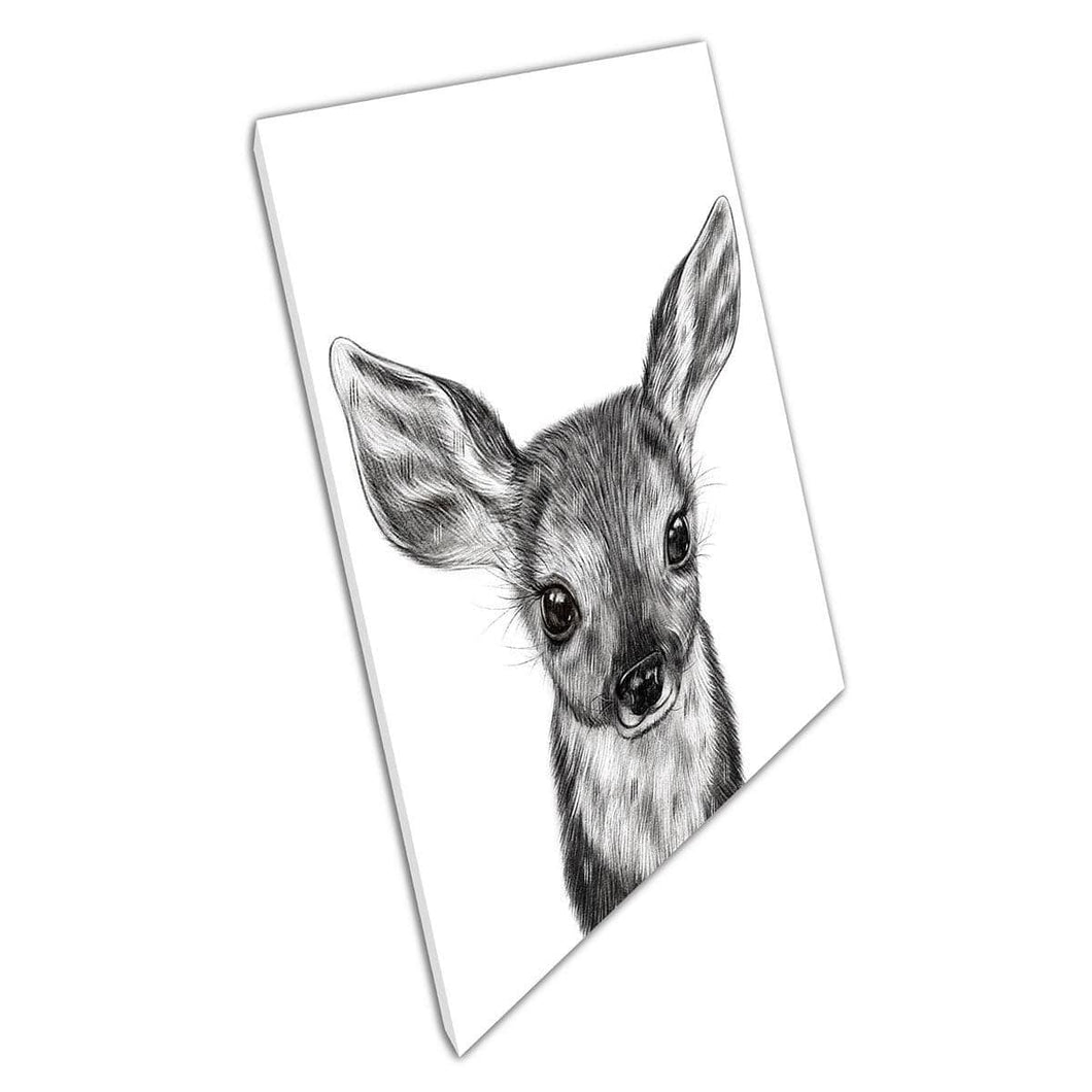 Sweet Baby Deer Fawn Sketch Drawing Wildlife Illustration Wall Art Print On Canvas Mounted Canvas print
