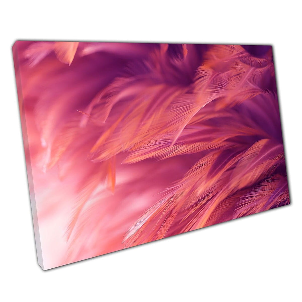 Abstrakte Ansicht Soft Pastell Coral Pink getönt Federn Nahaufnahme detaillierter Natur Wandkunstdruck auf Leinwand montiertes Leinwand Druck