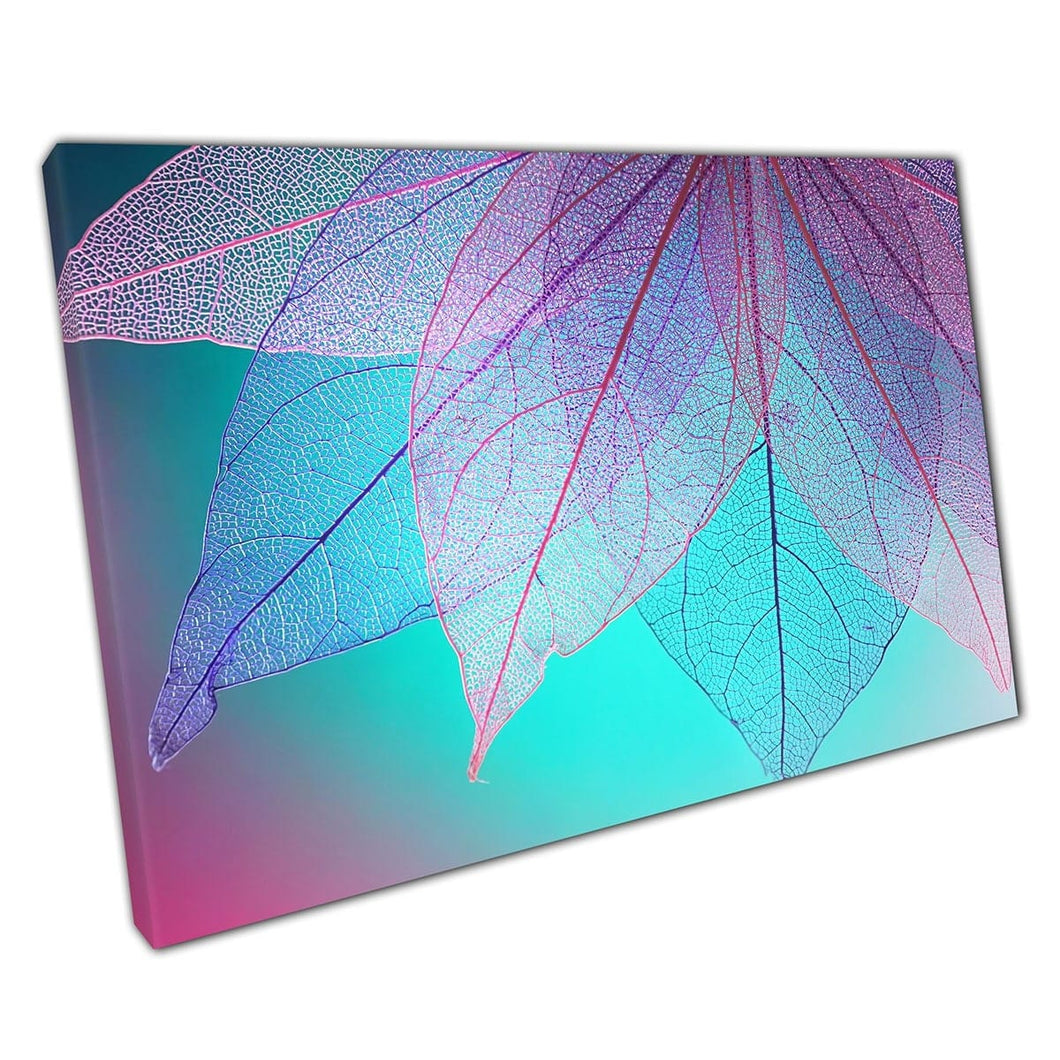 Macro Translucent Skeleton Leaves Turquoise Magenta Beautiful Artistic Abstract Wall Art Print On Canvas Mounted Canvas print