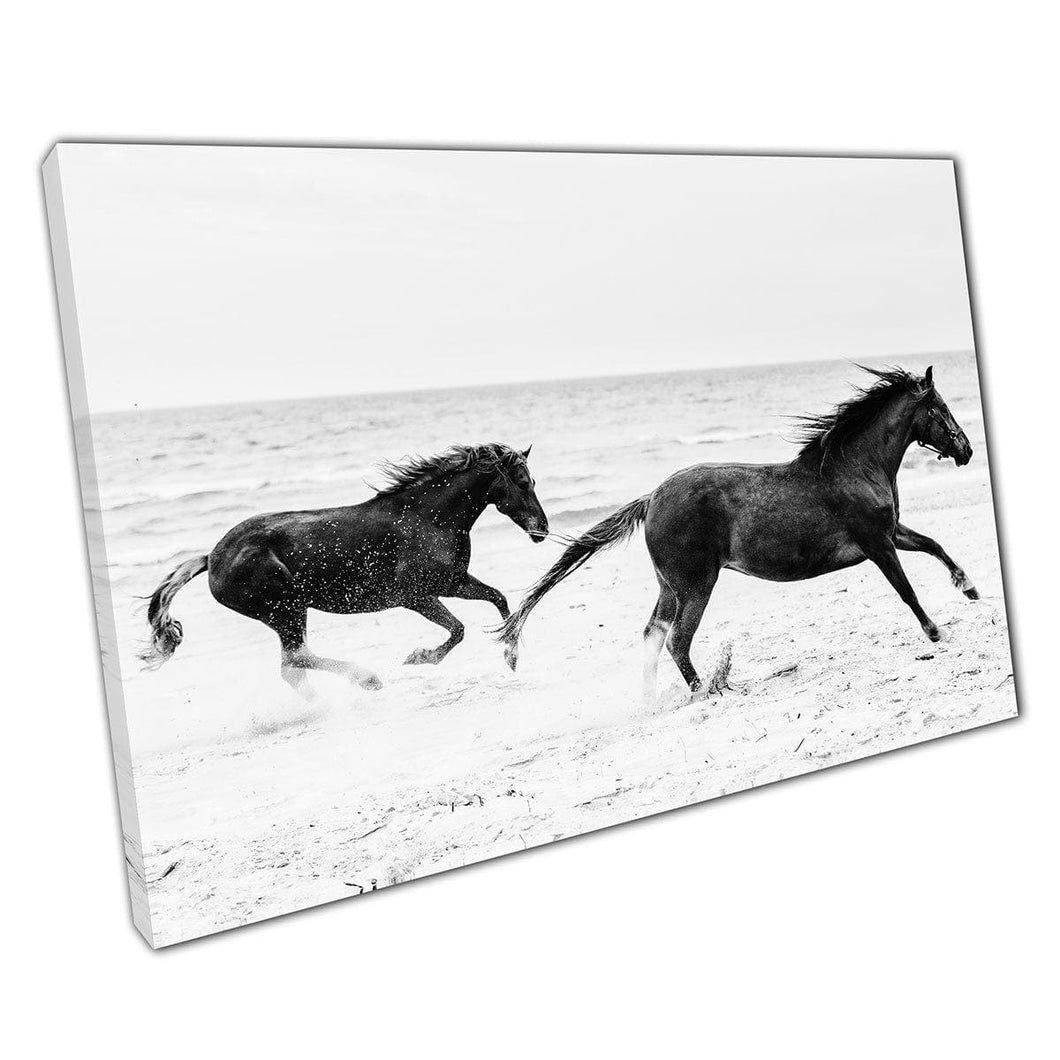 Two Horses Running Along The Seashore Black And White Photography Wall Art Print On Canvas Mounted Canvas print
