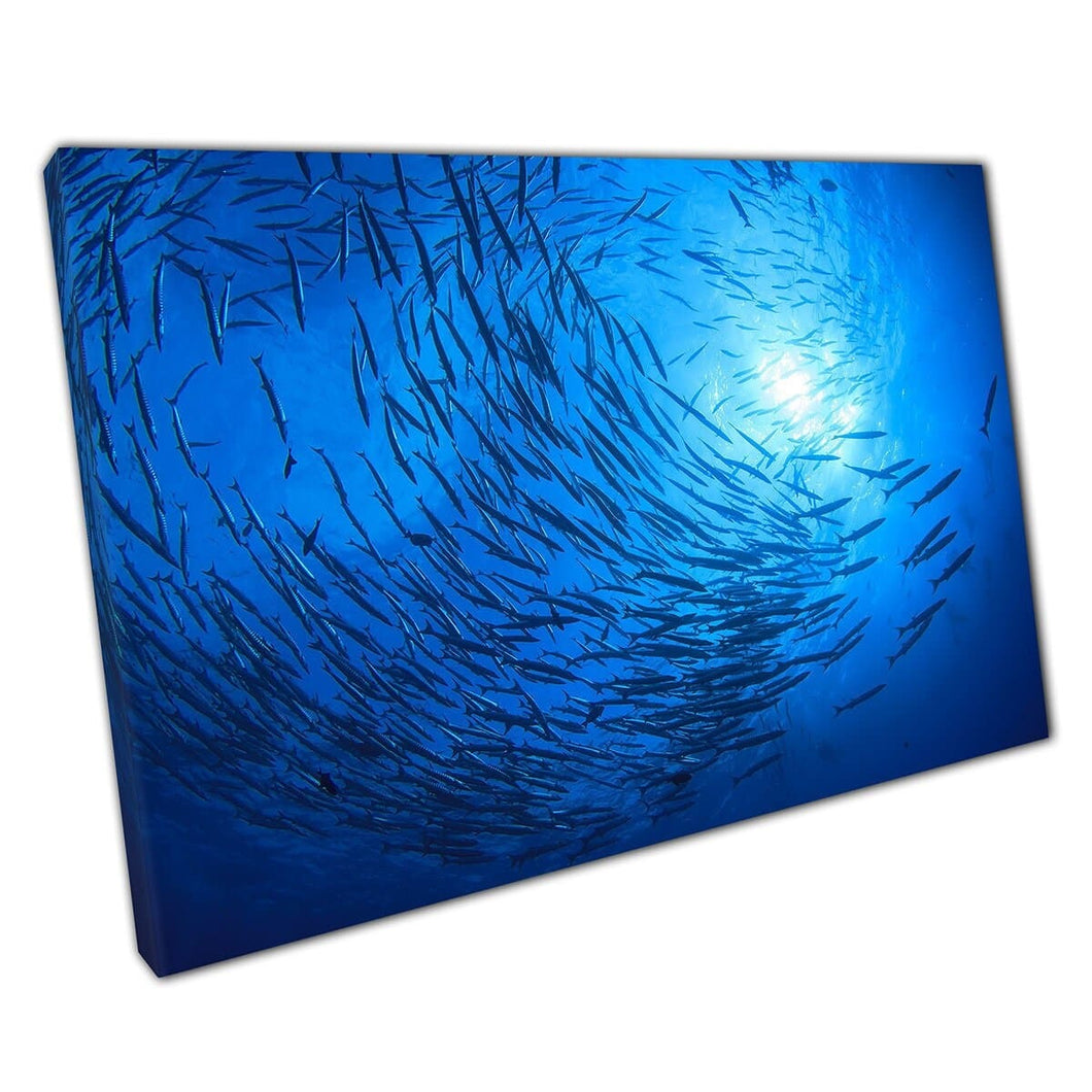 School Of Barracuda Fish Underwater Sea Aquatic Life Wall Art Print On Canvas Mounted Canvas print