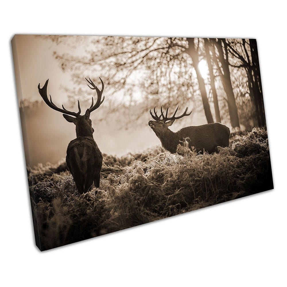 Sepia Red Deer in the Morning Sunshine Animal Art Ready to Hang Canvas Wall Art Print Mounted Canvas print