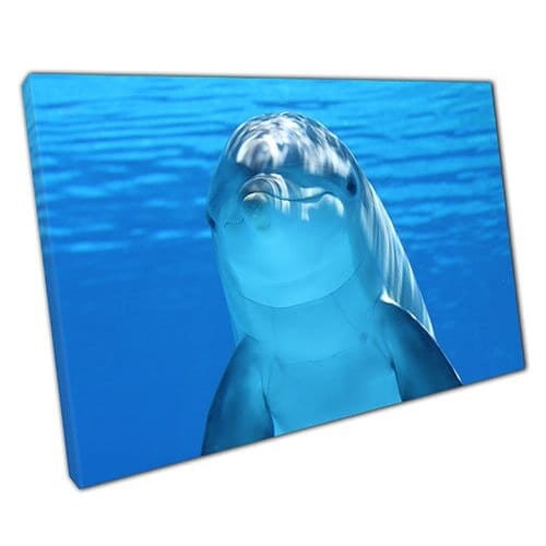 Print on Canvas Dolphin Face Close-Up in Water Ready to Hang Wall Art Print Mounted Canvas print