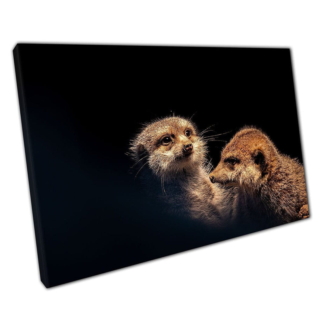 Two Cautious Meerkats Fine Art Animal Nature Photography Wall Art Print On Canvas Mounted Canvas print