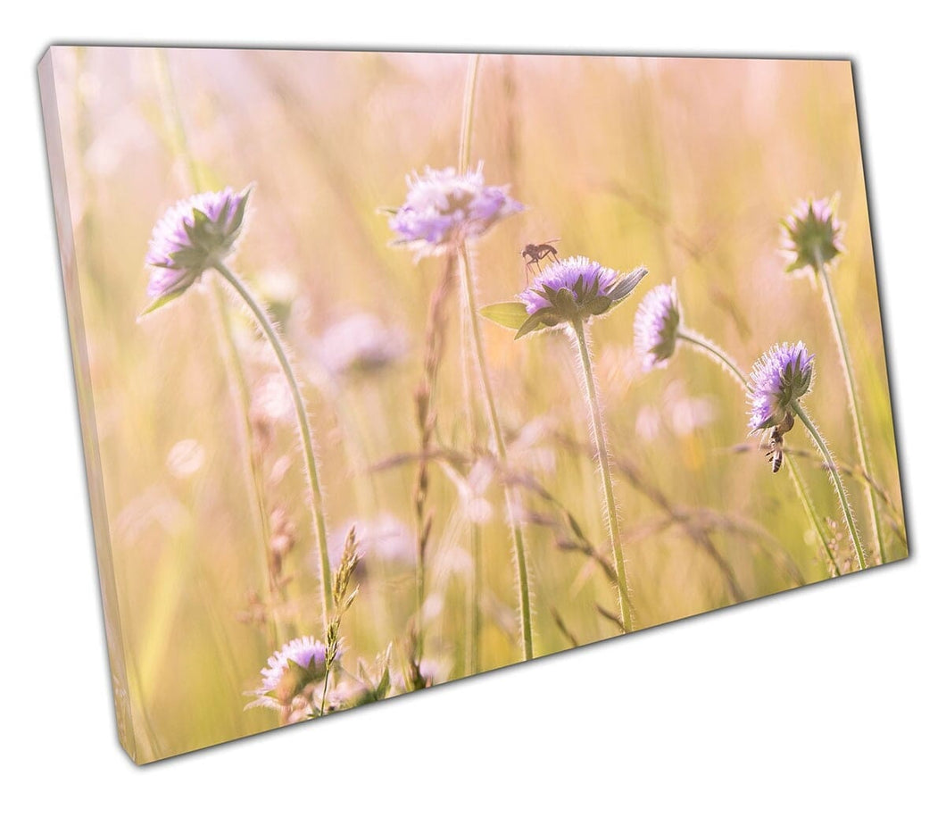 Canvas Print wild meadow flowers wall art Ready to Hang Print Mounted Canvas print