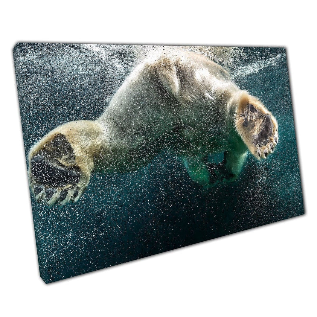 Action Close Up Of Fluffy Endangered Polar Bear Swimming Underwater Photography Wall Art Print On Canvas Mounted Canvas print