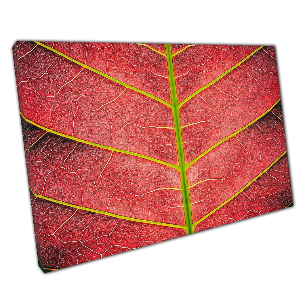 Red Green Textured Macro Leaf Detail Wall Art Print On Canvas Mounted Canvas print