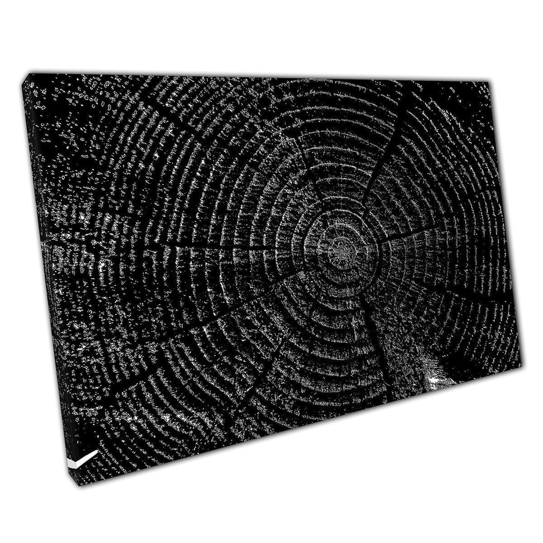 Abstract Detailed Monochrome Photography Wood Grains In A Tree Trunk Cross-Section Wall Art Print On Canvas Mounted Canvas print