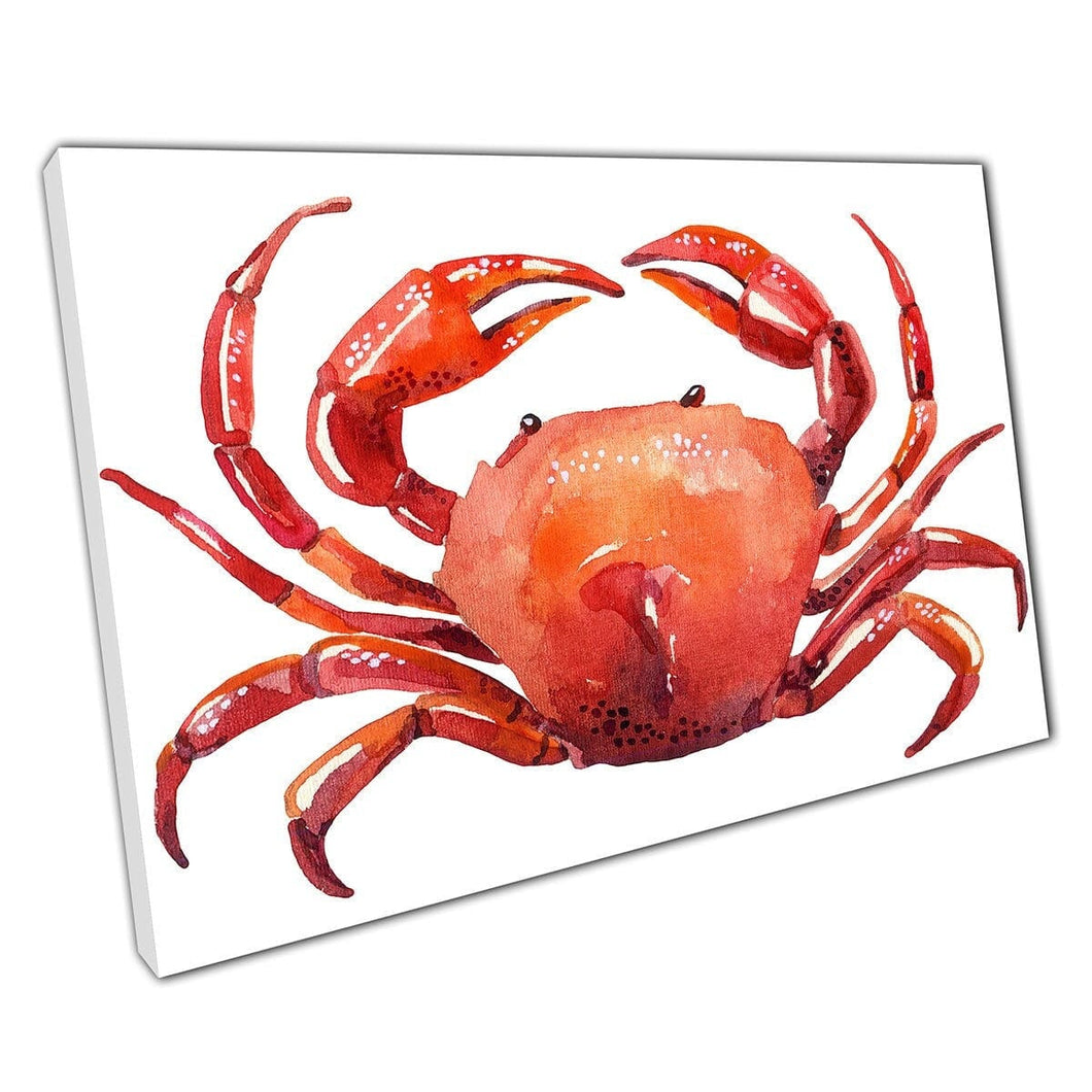 Watercolour Crab Sea Life Painting Canvas Wall Art Print On Canvas Mounted Canvas print