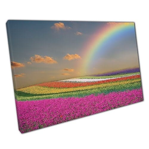 Print on Canvas Rainbow Field and Rainbow Skies Spring Ready to Hang Wall Art Print Mounted Canvas print