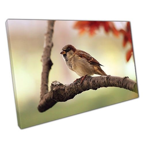 Print on Canvas Bird branch Ready to Hang canvas Wall Art Print Mounted Canvas print