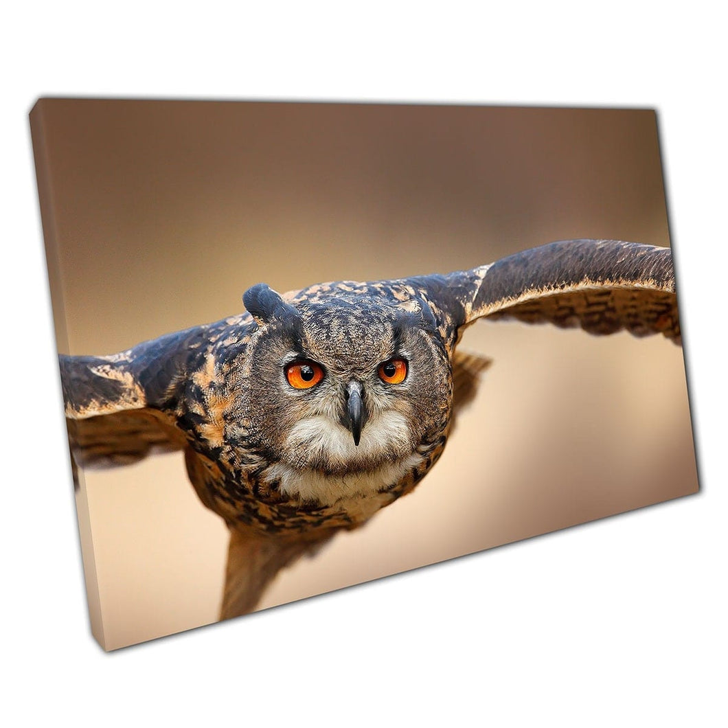 Eurasian Eagle Owl Gliding Through The Air Wings Spread Grassy Meadow Norway Wall Art Print On Canvas Mounted Canvas print