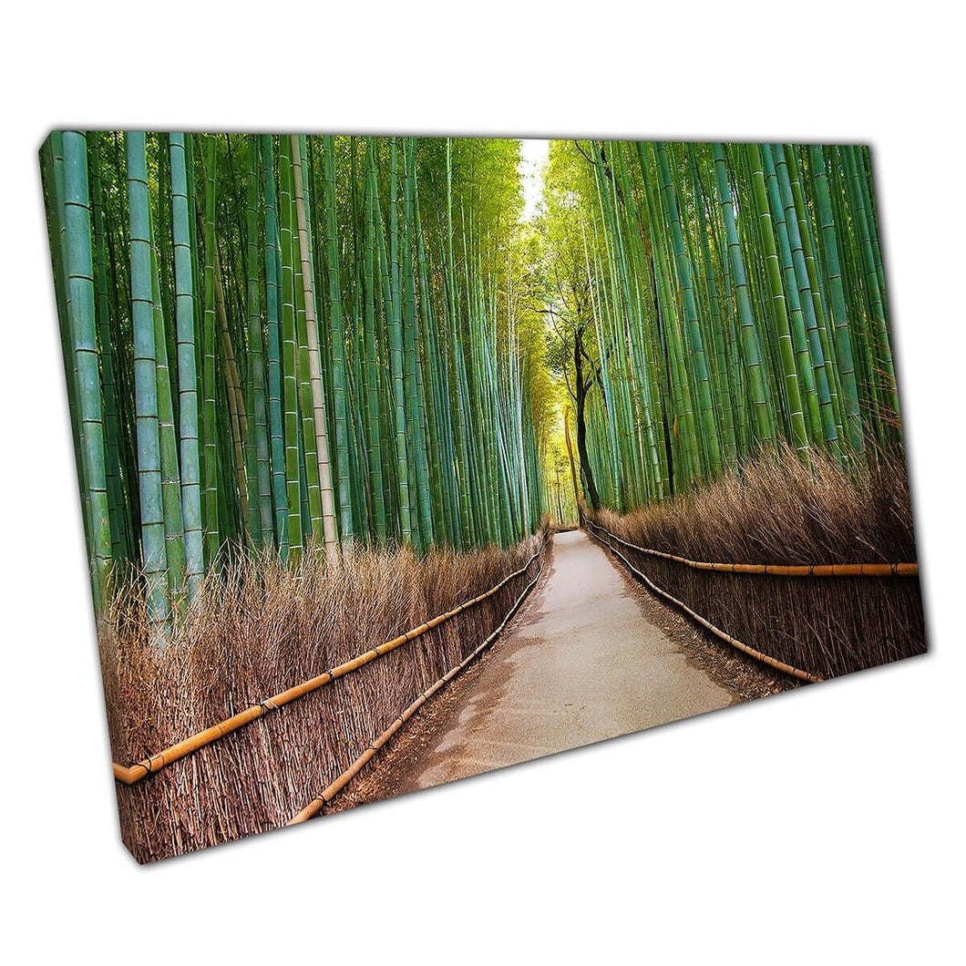 Bamboo Forest In The Sun Japan Arashiyama Kyoto Wall Art Print On Canvas Mounted Canvas print