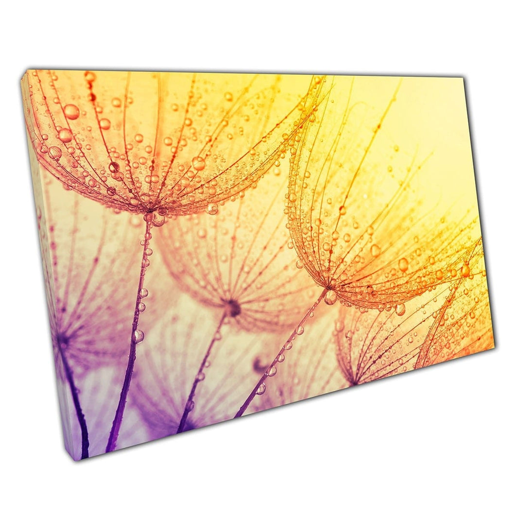Abstract Soft Focus Of Dandelions Covered In Spring Water Droplets Vibrant Warm Tones Wall Art Print On Canvas Mounted Canvas print