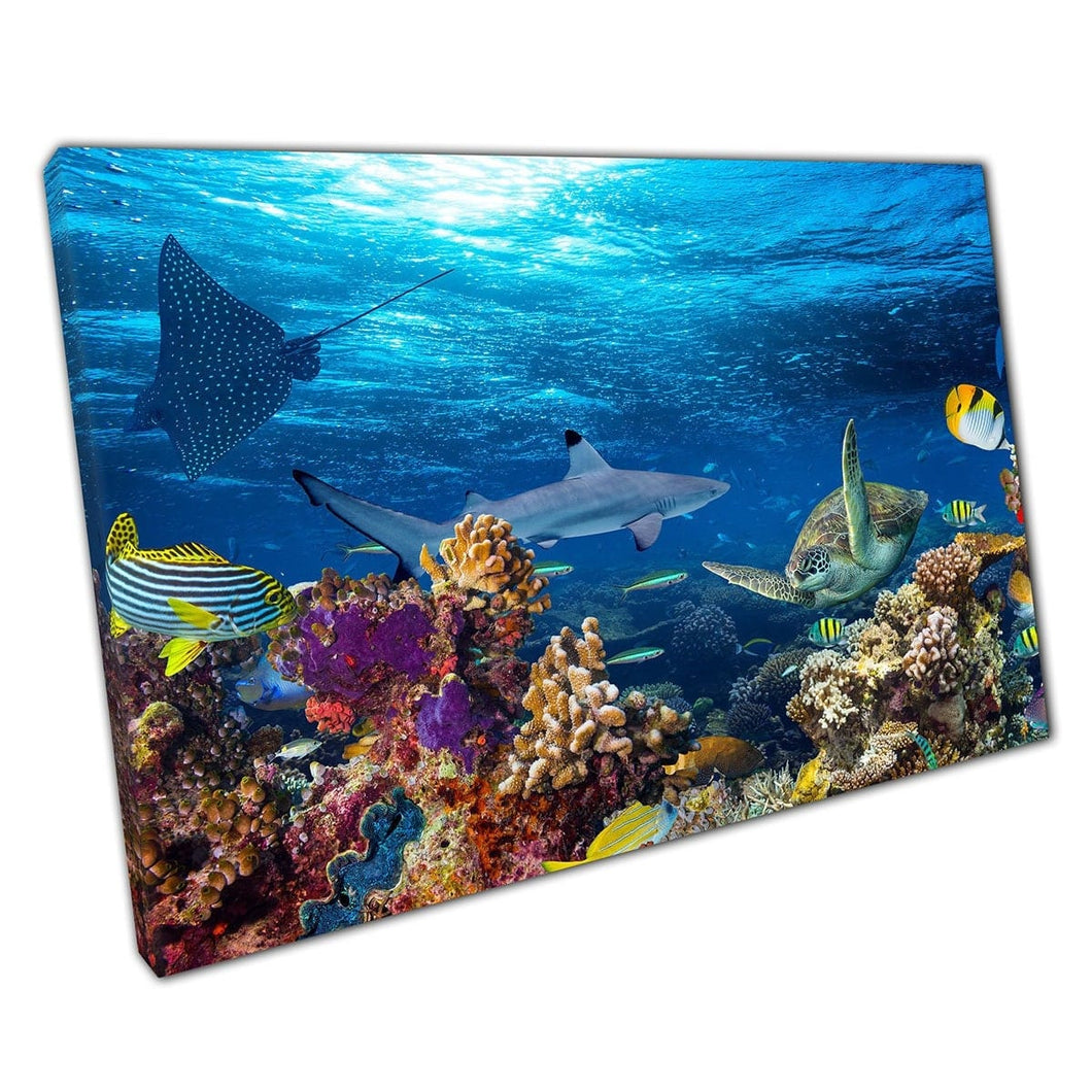 Busy Coral Reef Filled With Sea Life Shark Sting Ray Tropical Fish Sea Turtle Ocean Wall Art Print On Canvas Mounted Canvas print