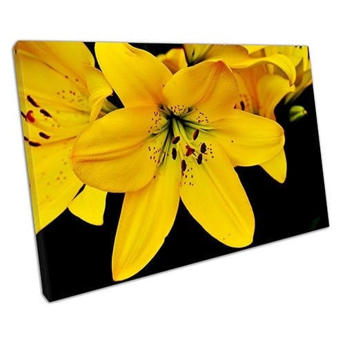 Print on Canvas Yellow Lily Flowers Canvas Wall Art Ready To Hang Print Mounted Canvas print