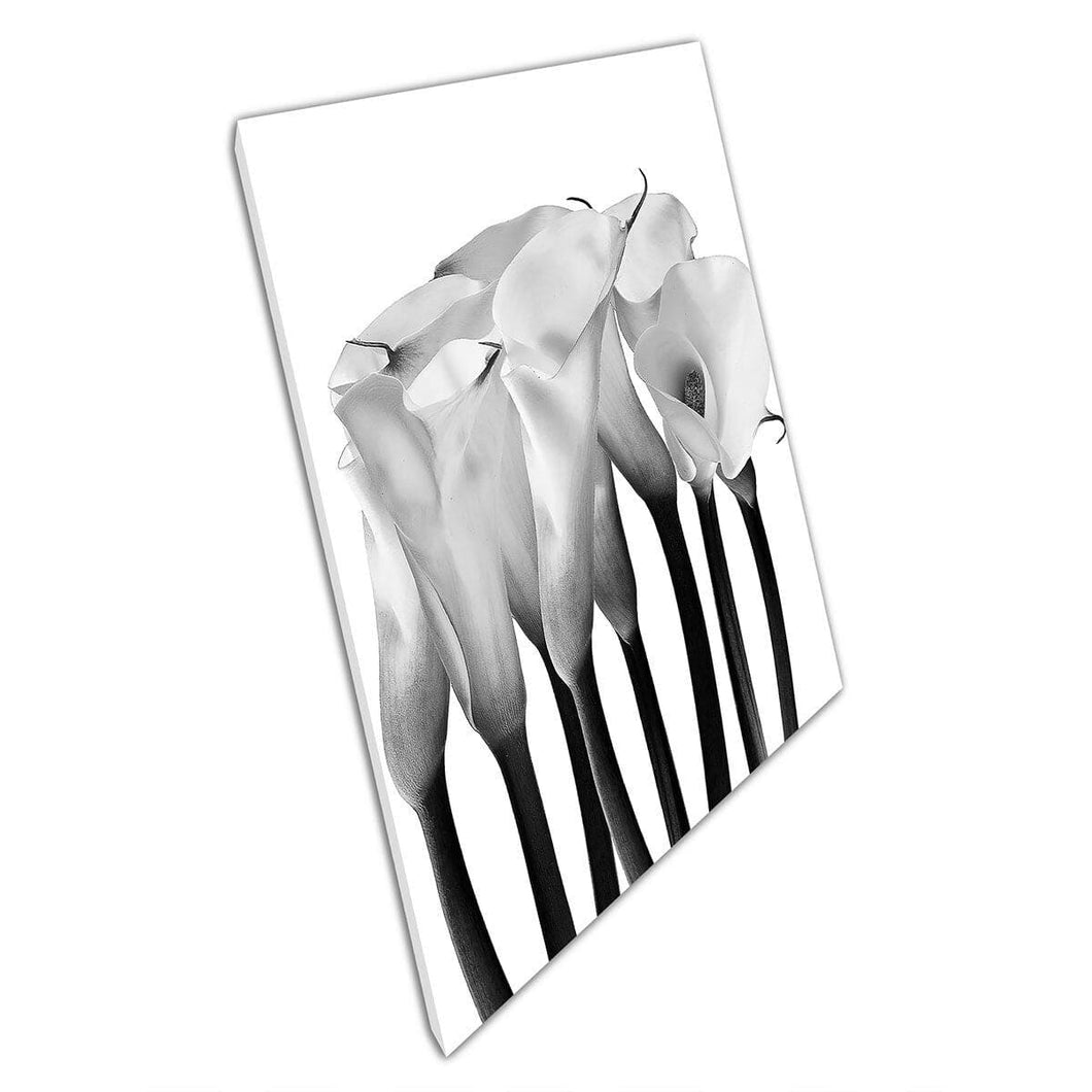 Glass Of Milk Flowers Black And White Greyscale Minimalist Ornamental Photography Wall Art Print On Canvas Mounted Canvas print